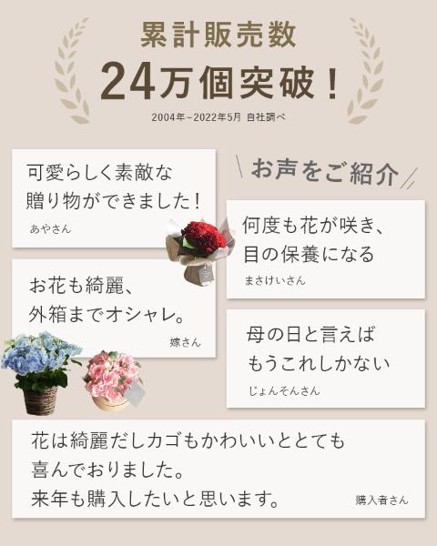 21 母の日のお花 Merci メルシー 送料無料 アンジェ Web Shop 本店