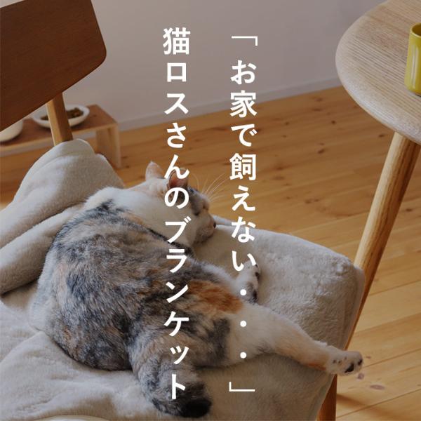 bon moment ふわもこ猫毛布 ブランケット ひざ掛け／ボンモマン ｜ アンジェ web shop（本店）