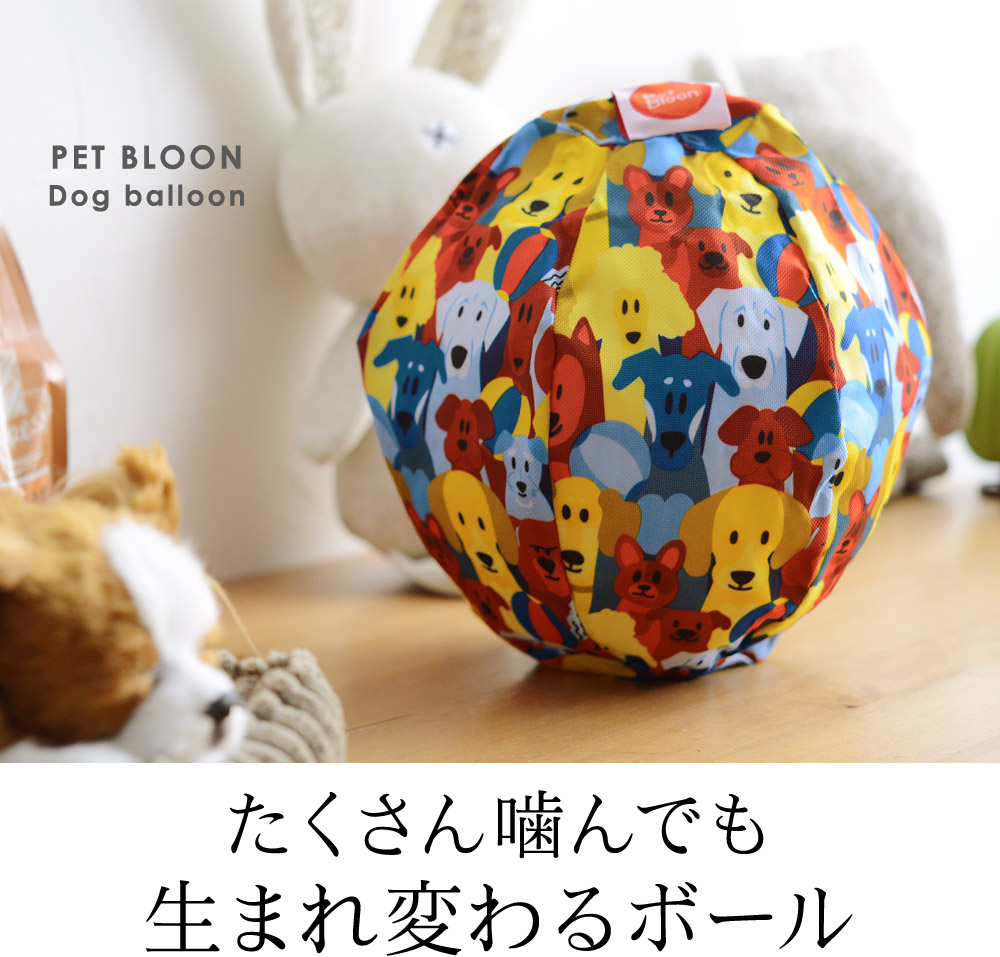 ドッグ バルーン Petbloon アンジェ Web Shop 本店