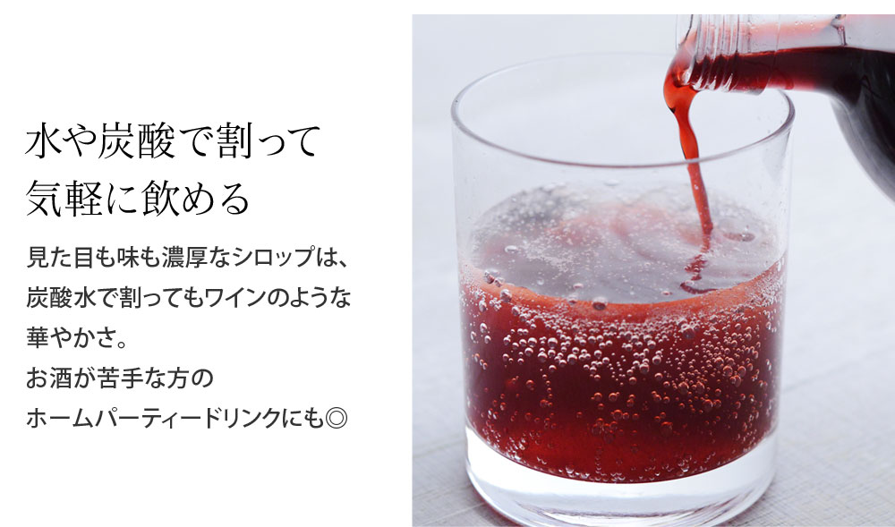 半額品 スミダ飲料 6 1000ml カクテル用カシス 1本 19限定5％OFF