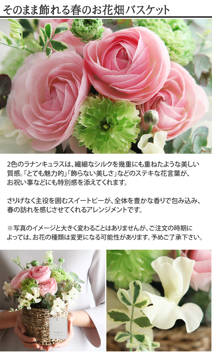 美しい花の画像 元の花 言葉 おめでとう